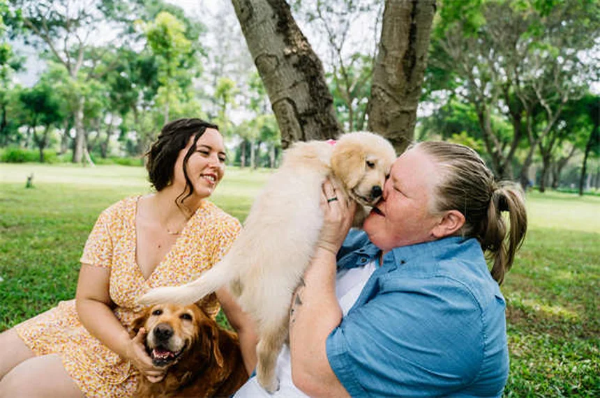 猫の原始ポーチとは？気になる垂れ下がったお腹の謎を解説